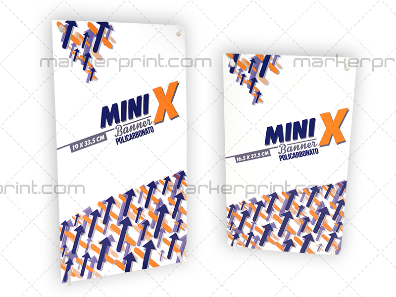 MiniX-Policarbonato 1