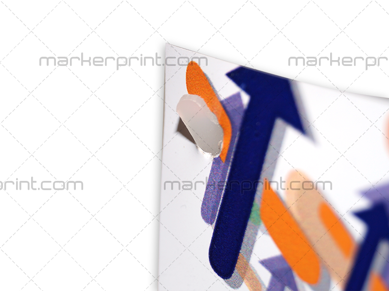 MiniX-Policarbonato 5
